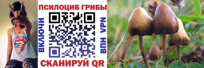 Псилоцибиновые грибы MAGIC MUSHROOMS  Горбатов 
